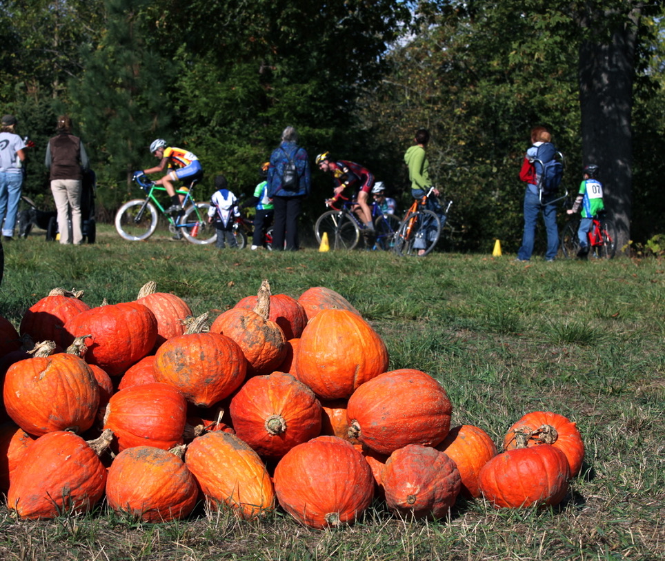 Orange pumpkins beside the course, with cyclists and spectators in the background.